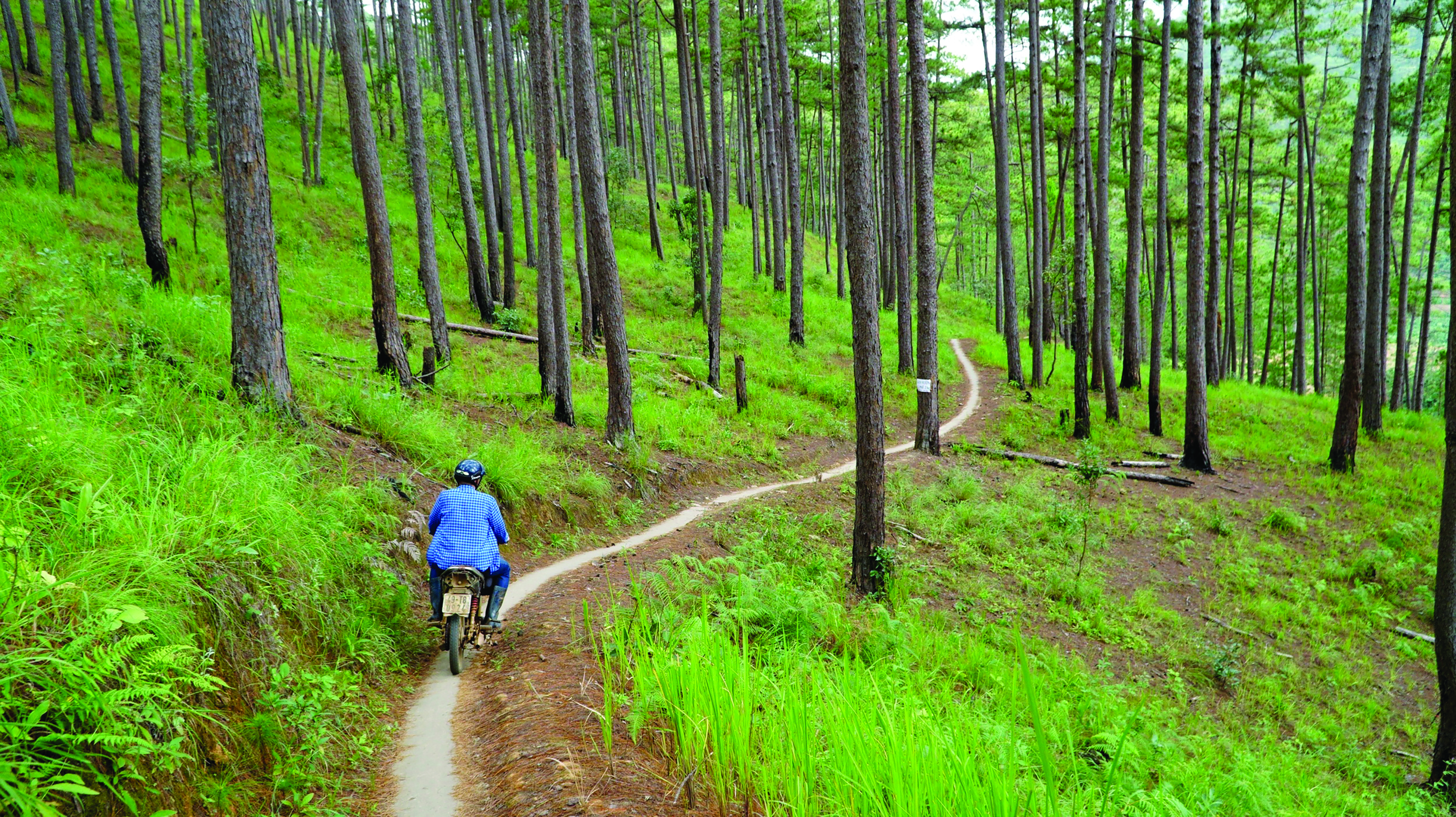 At the end of every year, Quang Vinh travels to Da Lat to collect coffee beans. Photo: Ngoc Hien / Tuoi Tre