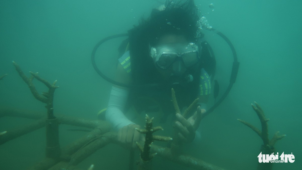 A female engineer is seen at work under the sea. Photo: Le Xuan Ai