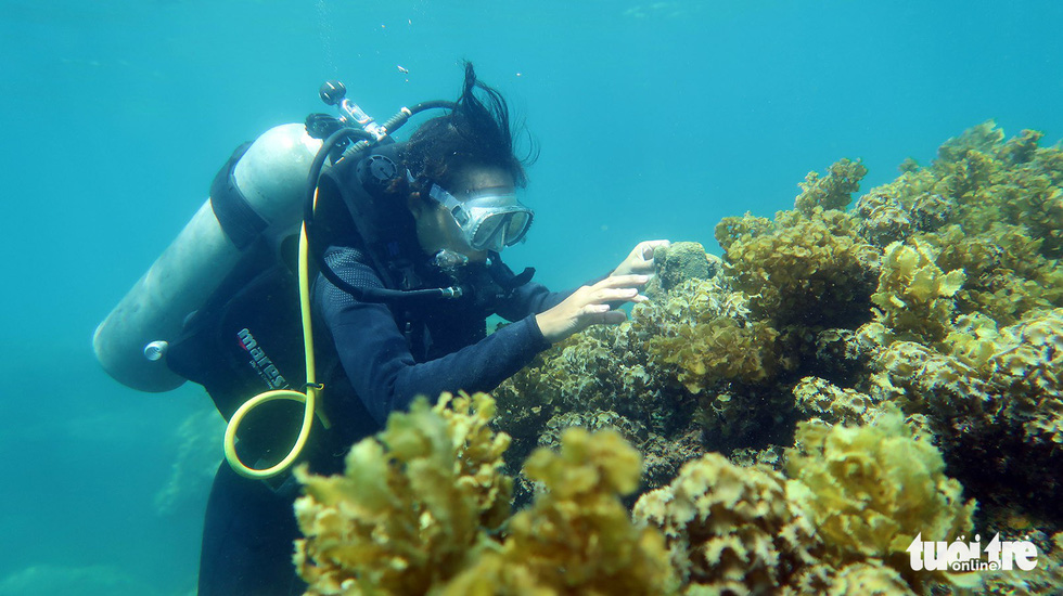 Phuong Thao (right) is seen at work under the sea. Photo: Le Xuan Ai
