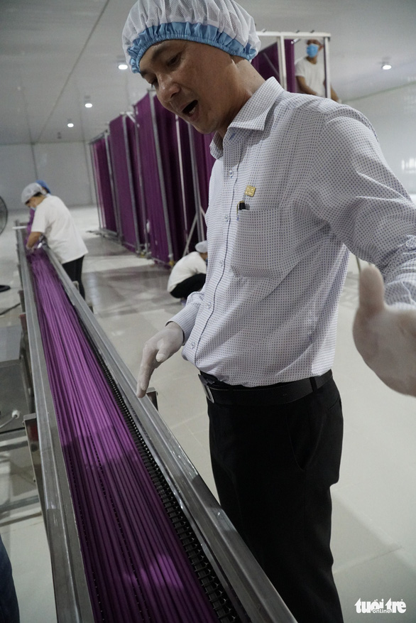 Vo Minh Khang, head of the firm that makes flour straws, shows the products at its factory in Dong Thap Province, southern Vietnam. Photo: Ngoc Tai / Tuoi Tre