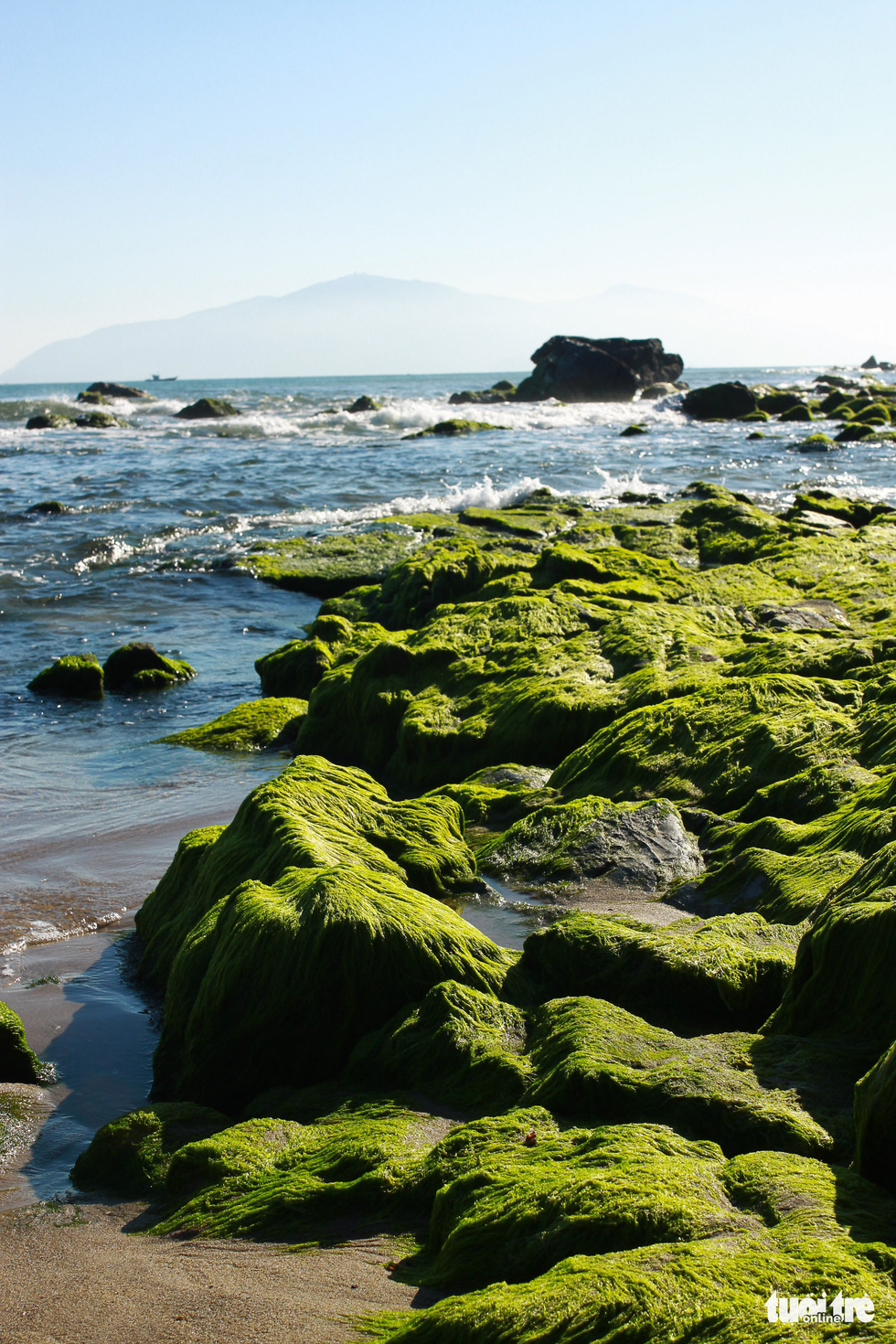 The rocks make the area look like a meadow emerging from the sea. Photo: Tan Luc / Tuoi Tre