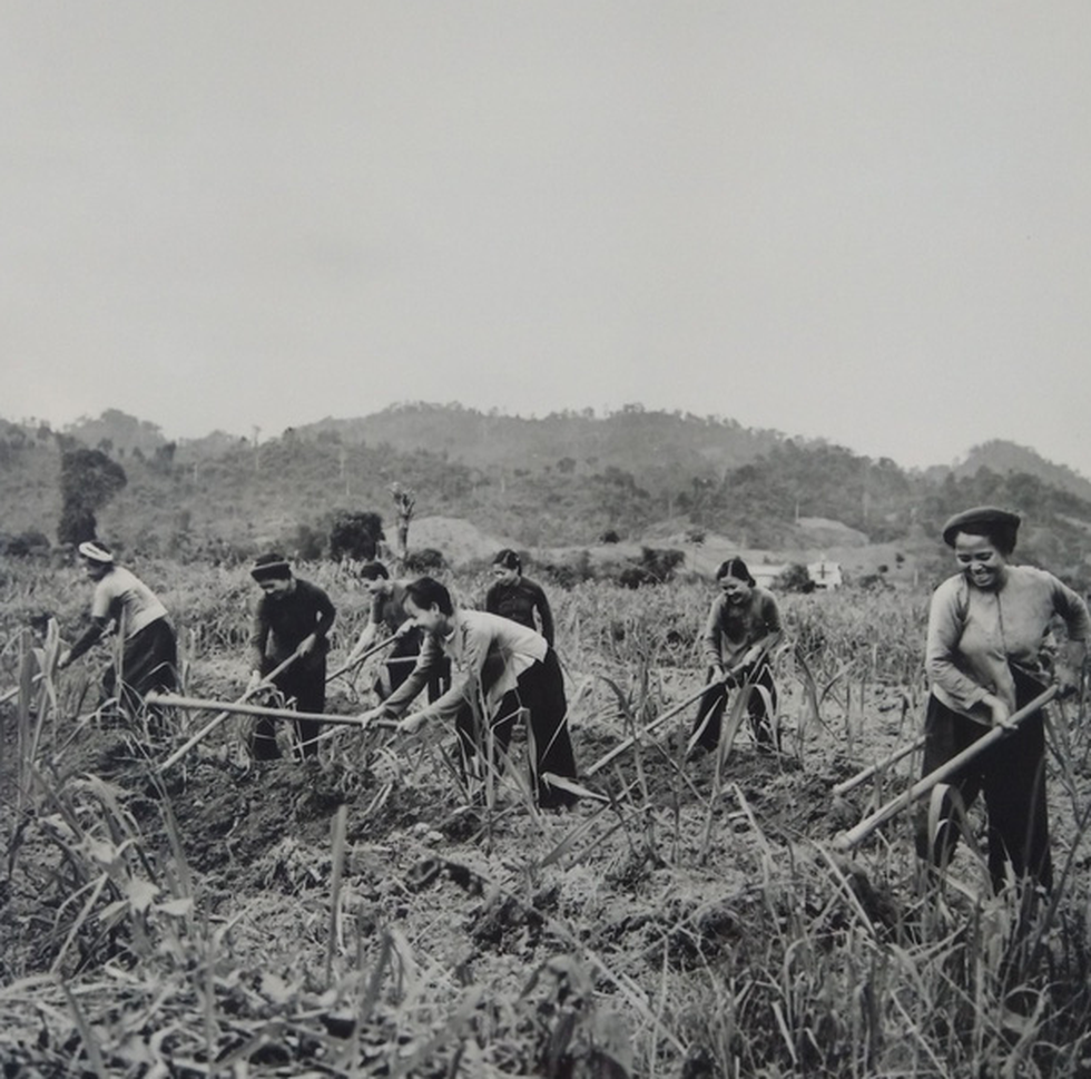 A photo taken by Wilfred Burchett of northern Vietnam in the 1950s.