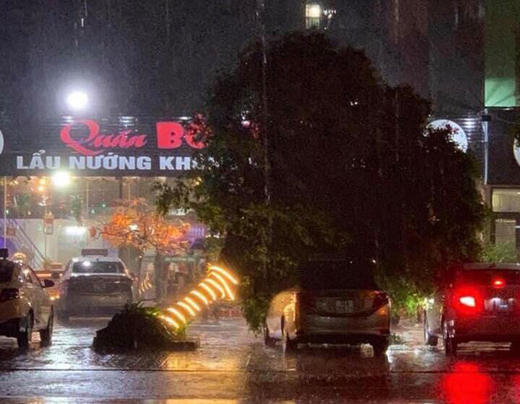 A fallen tree is seen in the aftermath of typhoon Wypha in Mong Cai, northern Vietnam, August 3, 2019. Photo: P. Anh
