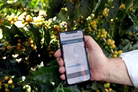 A farmer shows an irrigation management system app on his mobile phone at a coffee plantation in Sao Sebastiao do Paraiso. Photo: Reuters