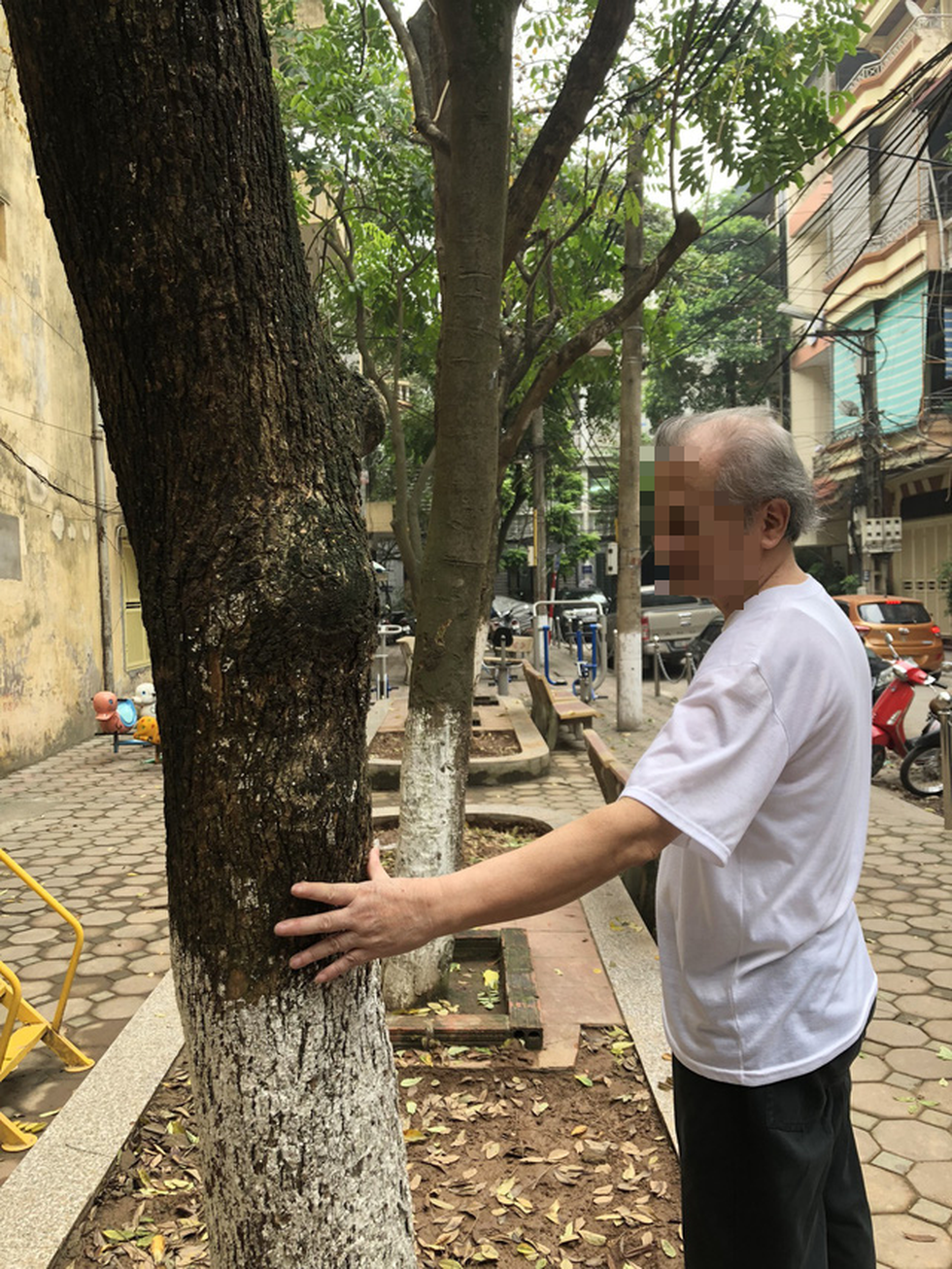 A resident stands next to a sua tree inside the collective housing unit.