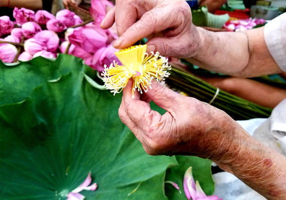 Nguyen Thi Dan, along with her family members, put their heart and soul in every step of tea making. Photo: Ha Thanh / Tuoi Tre