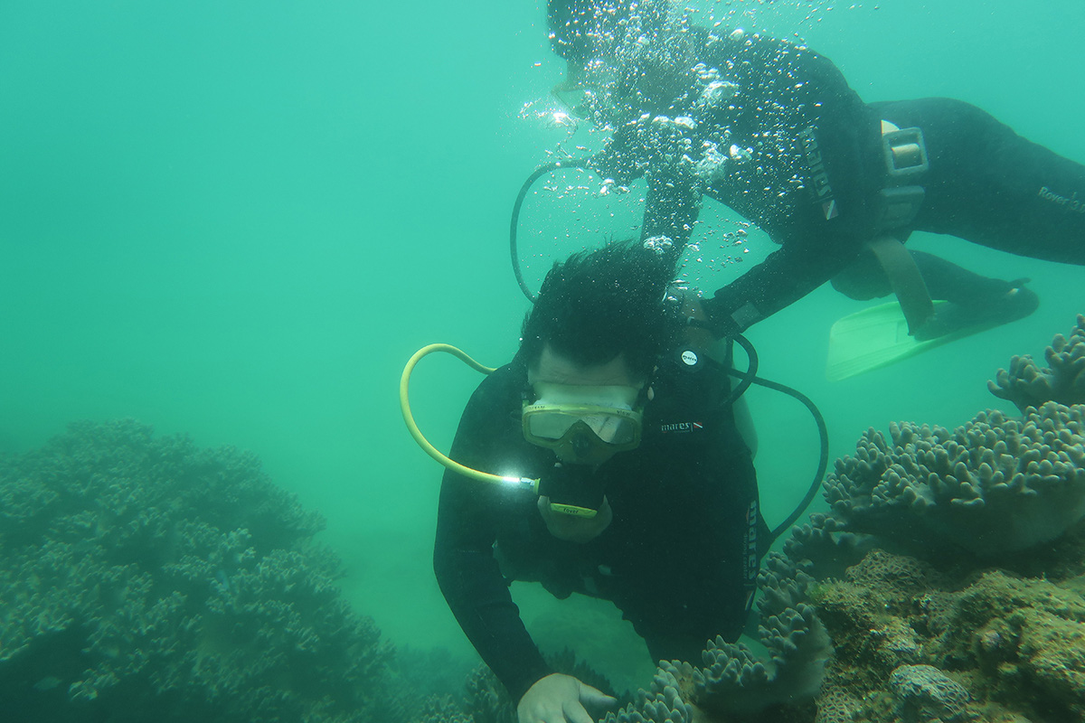 People go scuba diving off Cu Lao Cham islands in central Vietnam. Photo: B.D. / Tuoi Tre