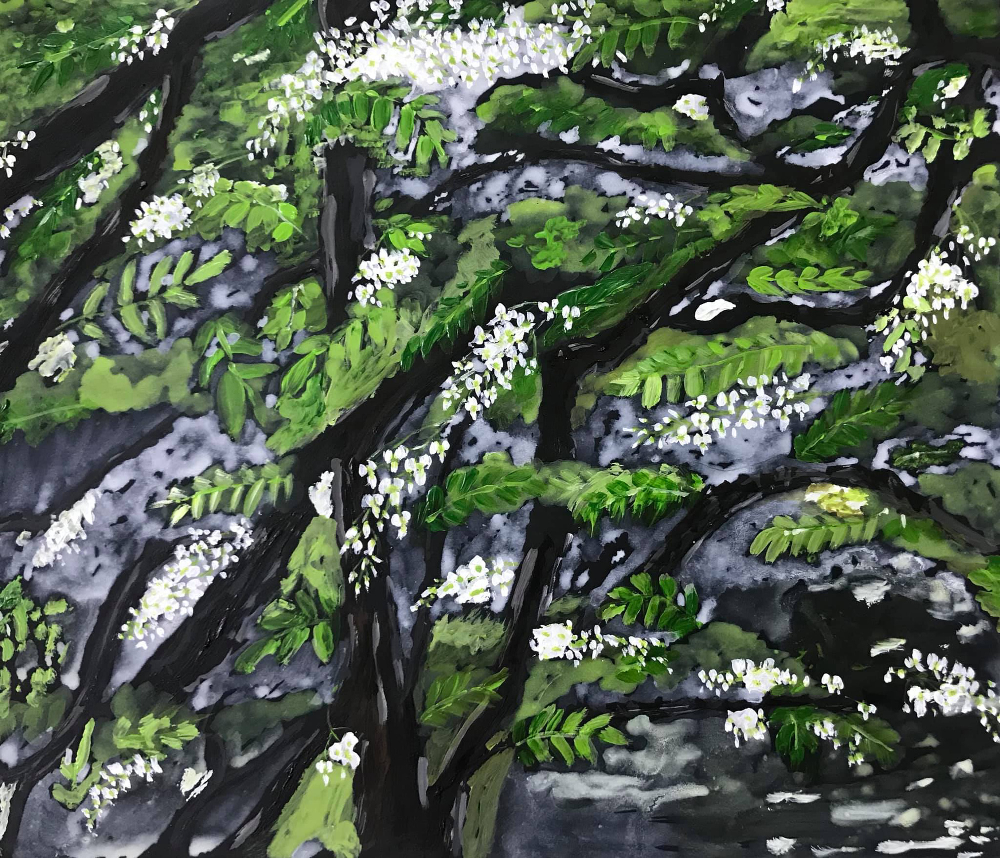 Blackboard tree blossoms are seen in this sketch by Sao Nguyen.