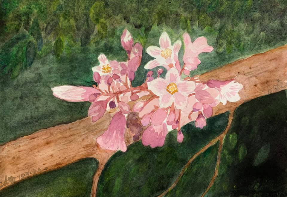 Violets are seen in this sketch by Kim Anh.
