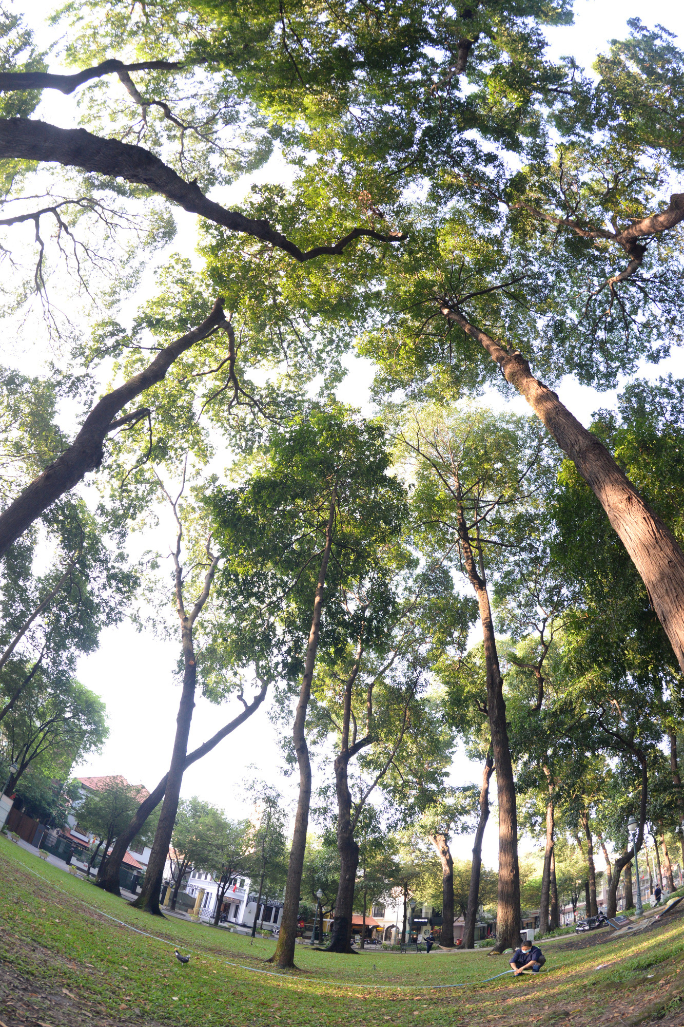 A fisheye view of April 30 Park in Ho Chi Minh City, Vietnam. Photo: T.T.D. / Tuoi Tre