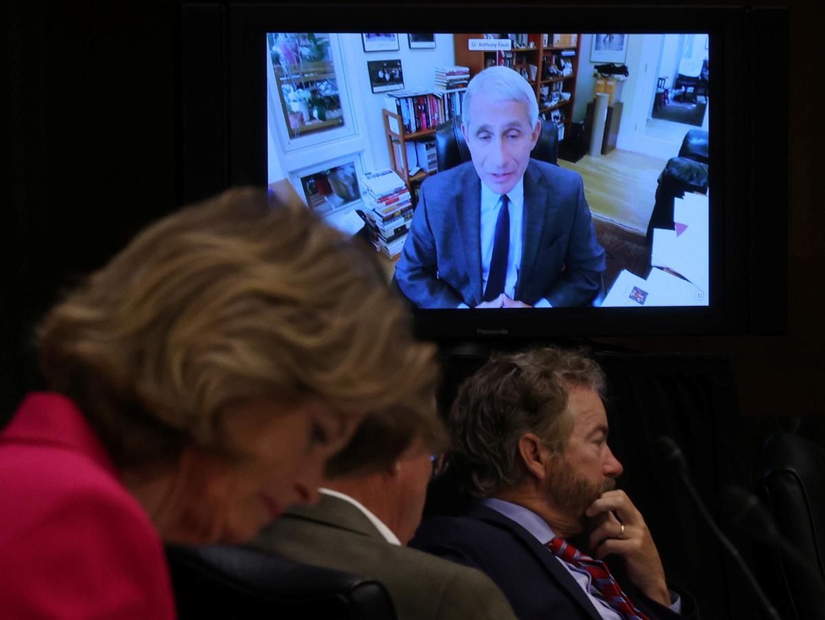 U.S. Senators listen to Dr. Anthony Fauci, director of the National Institute of Allergy and Infectious Diseases speak remotely during the Senate Committee for Health, Education, Labor, and Pensions hearing on the coronavirus disease (COVID-19) response, in Washington, U.S., May 12, 2020. Photo: Reuters