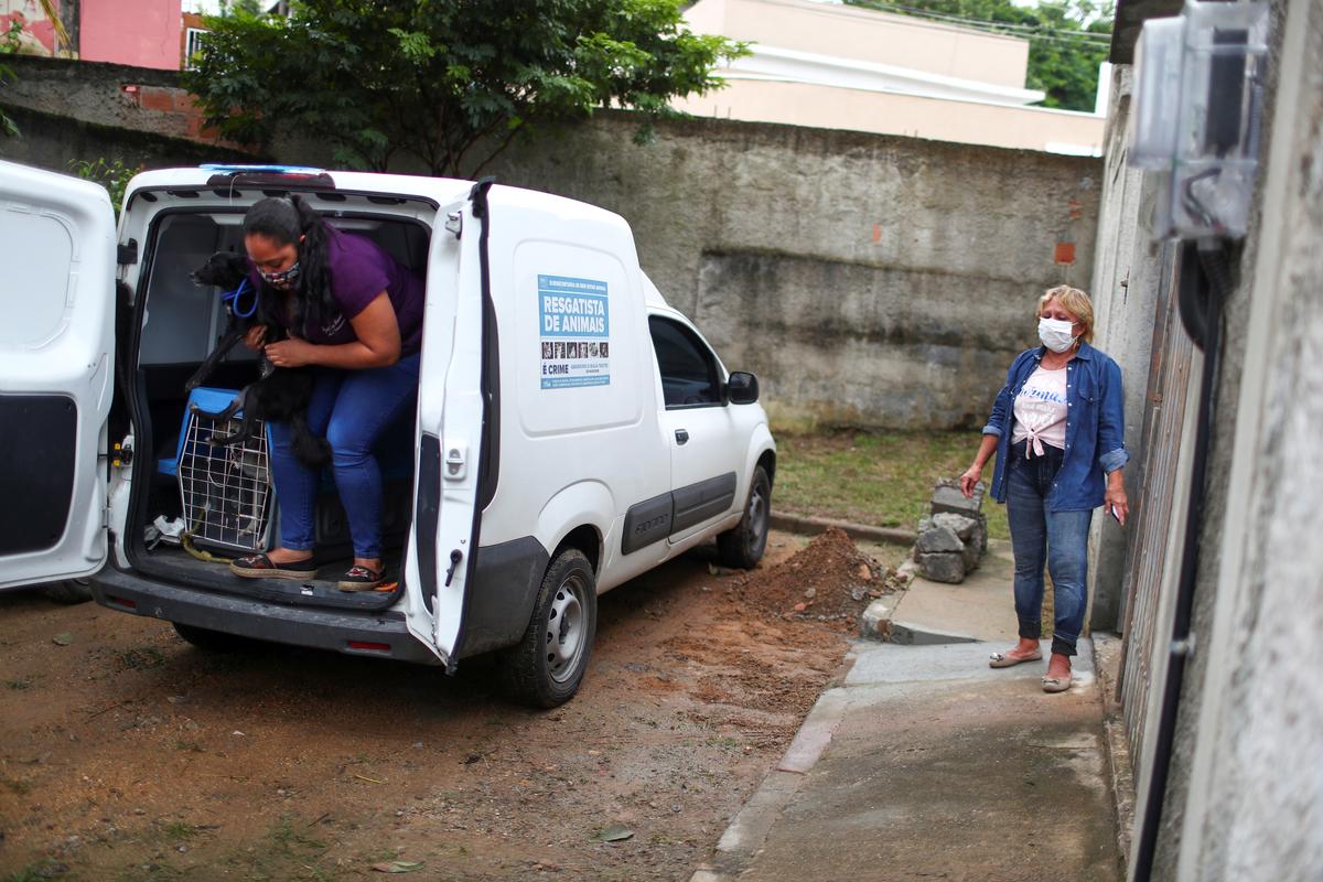 Maria de Fatima Cordeiro Marques, who recovered from the coronavirus disease, waits for her adopted dog Sansa at the entrance of her home, as a part of a pet delivery campaign to find homes for abandoned animals managed by Rio de Janeiro City Hall during the coronavirus disease (COVID-19) outbreak, in Rio de Janeiro, Brazil May 15, 2020. Photo: Reuters