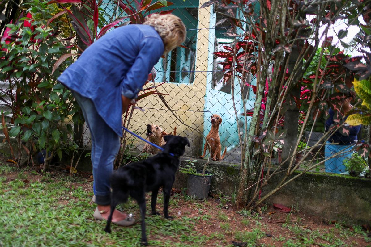 Maria de Fatima Cordeiro Marques, who recovered from the coronavirus disease, shows her adopted dog Sansa to her neighbor's dogs after arriving home, as a part of a pet delivery campaign to find homes for abandoned animals managed by Rio de Janeiro City Hall during the coronavirus disease (COVID-19) outbreak, in Rio de Janeiro, Brazil May 15, 2020. Photo: Reuters