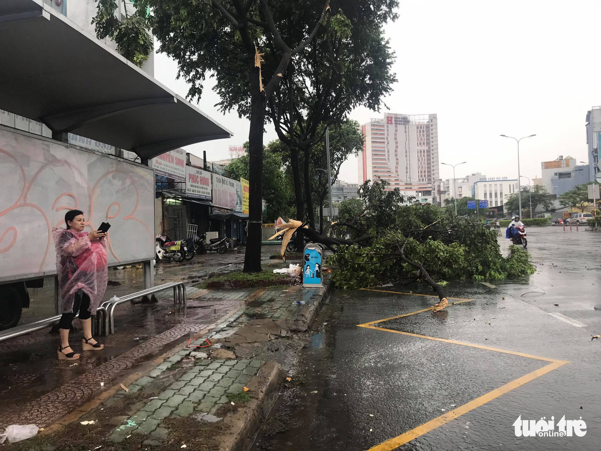 A tree is uprooted during a heavy rain in Binh Thanh District, Ho Chi Minh City, May 30, 2020. Photo: Le Phan / Tuoi Tre