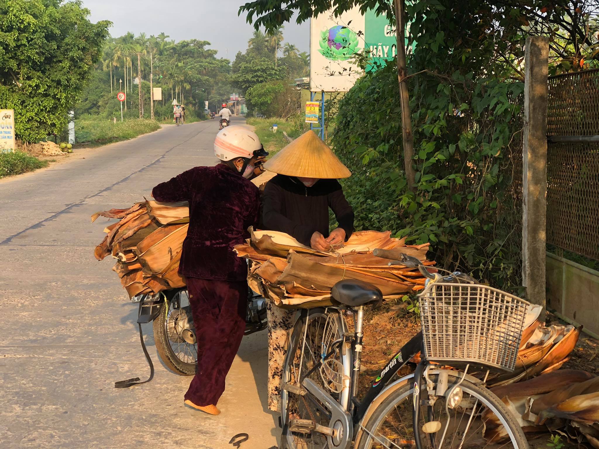 Farmers in Nghia Hanh District, Quang Ngai Province, where areca palm trees are grown in abundance, now profit off the tree’s leaves they used to burn. Photo: Lam Minh Khoa