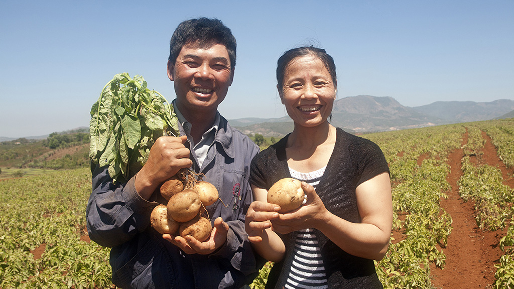 Farmers who take part in Nguyen Ngoc Tuan’s potato networking program to supply for processing plants are happy with their produce in Lam Dong Province in Vietnam’s Central Highlands. Photo: Mai Vinh / Tuoi Tre