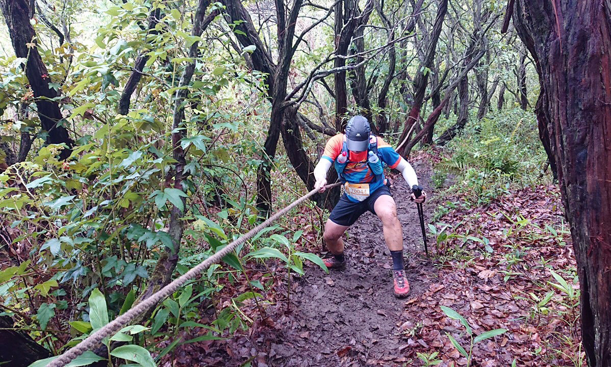 An athlete hikes up a slope of more than 40 degrees steep to reach the Lang Biang Peak without any protective equipment as part of the Dalat Ultra Trail 2020 races in Lam Dong Province, Vietnam, June 2020. Photo: Mai Vinh / Tuoi Tre