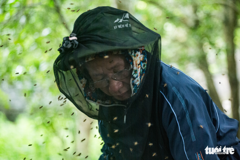 According to Vu Van Thai, owner of a bee farm nestled in Ha Dong District, Hanoi, Vietnam, the greatest challenge is the harvest, during which collectors without proper protection are highly prone to stings. Weather conditions may also take a toll on the quality and quantity of honey. Rainy weather means diluted honey, which cannot be harvested, while sunny weather leaves honey condensed, which also causes difficulties to collectors. Photo: Mai Thuong / Tuoi Tre