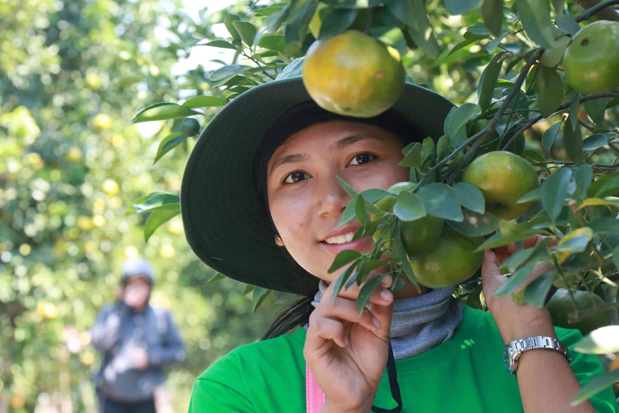 A tourist with a Dong Thap tangerine tree at a local tangerine garden in Dong Thap Province, Vietnam. Photo: Ly Quoc Dang / Tuoi Tre