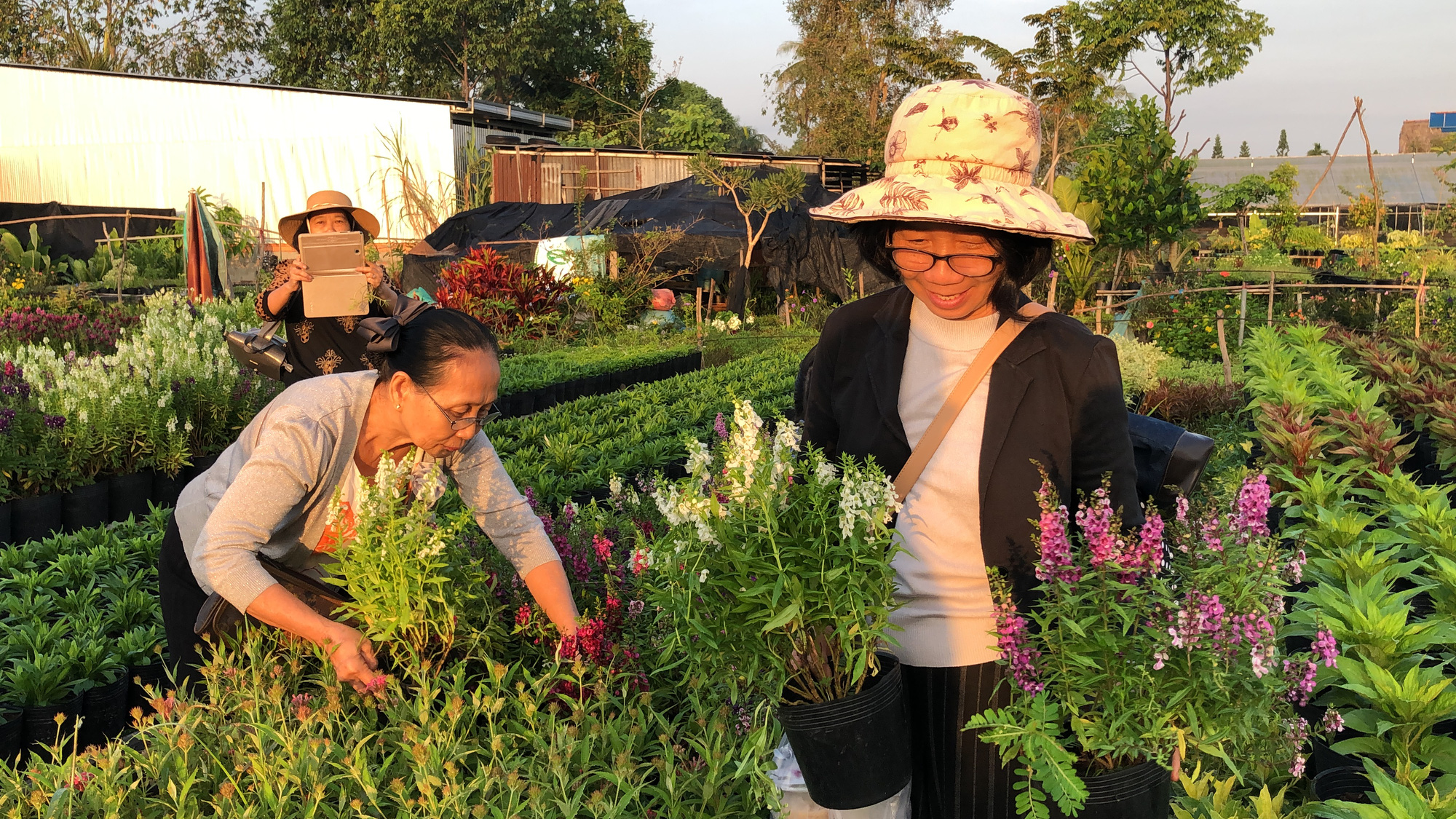 Local people buy flowers at the Sa Dec Flower Village in Dong Thap Province, Vietnam. Photo: Ly Quoc Dang / Tuoi Tre