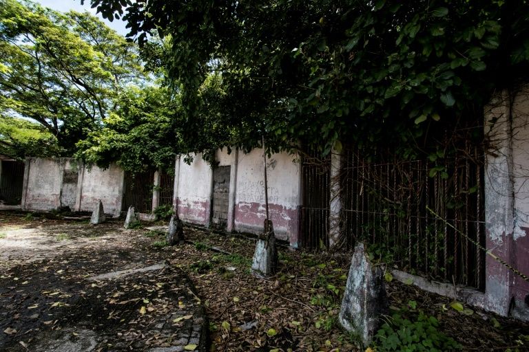 Boats to the island leave from the port city of Puntarenas but coronavirus restrictions limit the number of tourists who can come. Photo: AFP