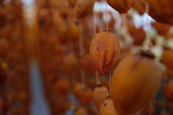 A piece of ageing persimmon. Photo: Mai Vinh / Tuoi Tre