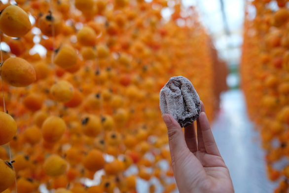 A piece of hoshigaki (sun-dried persimmon). Photo: Mai Vinh / Tuoi Tre