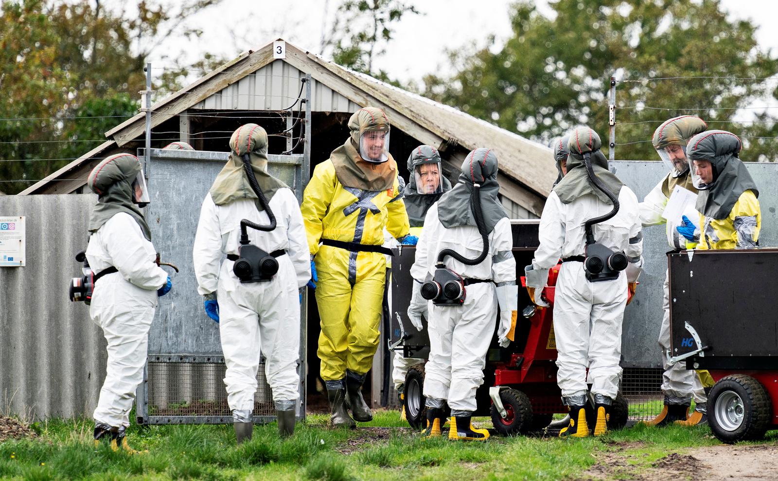 Employees from the Danish Veterinary and Food Administration and the Danish Emergency Management Agency in protective equipment are seen amid the coronavirus disease (COVID-19) outbreak at a mink farm in Gjoel, North Jutland, Denmark October 8, 2020. Photo: Ritzau Scanpix/Henning Bagger via Reuters