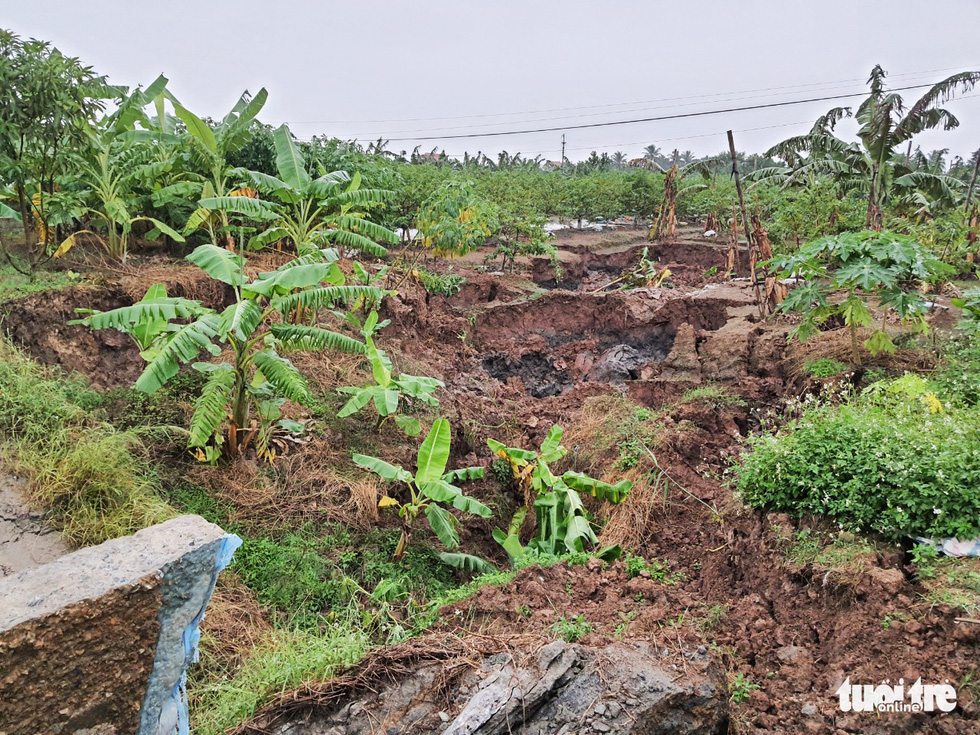 Land subsidence hits a vast area in An Son Commune, Thuy Nguyen District, Hai Phong City, destroying many plants of local households. Photo: Ngoc Anh/Tuoi Tre