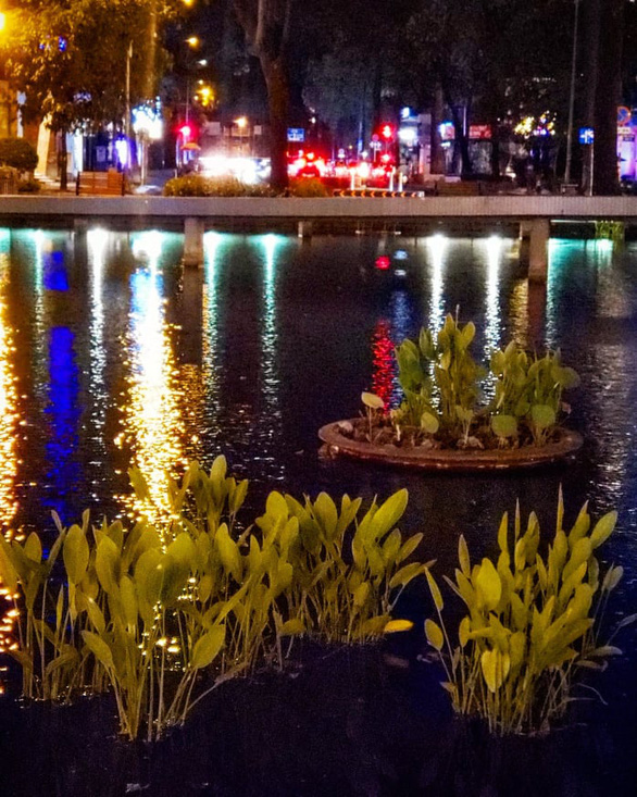 Sparkling lights near Ho Con Rua, with Pham Ngoc Thach Street in the background. Photo: Gia Tien / Tuoi Tre