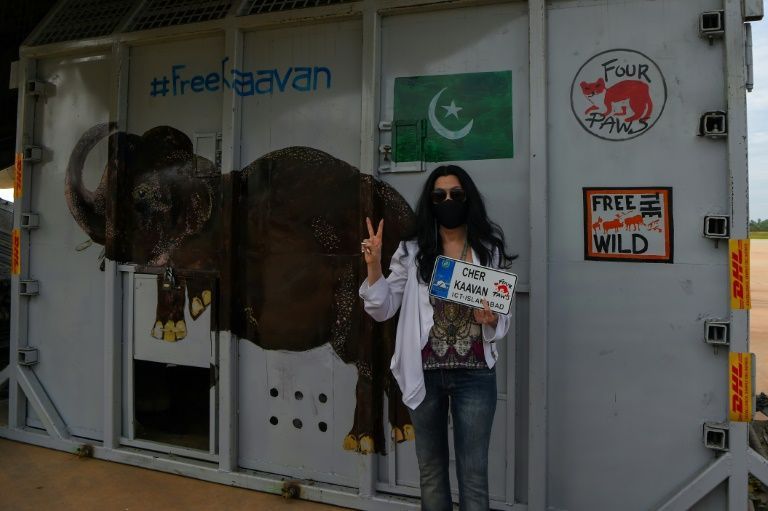 Cher was at Siem Reap airport and waved excitedly at the plane after it landed. Photo: AFP