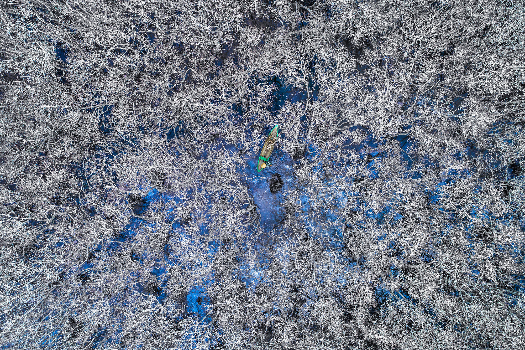 A photo shows people fishing in Ru Cha mangrove forest in the central province of Thua Thien - Hue