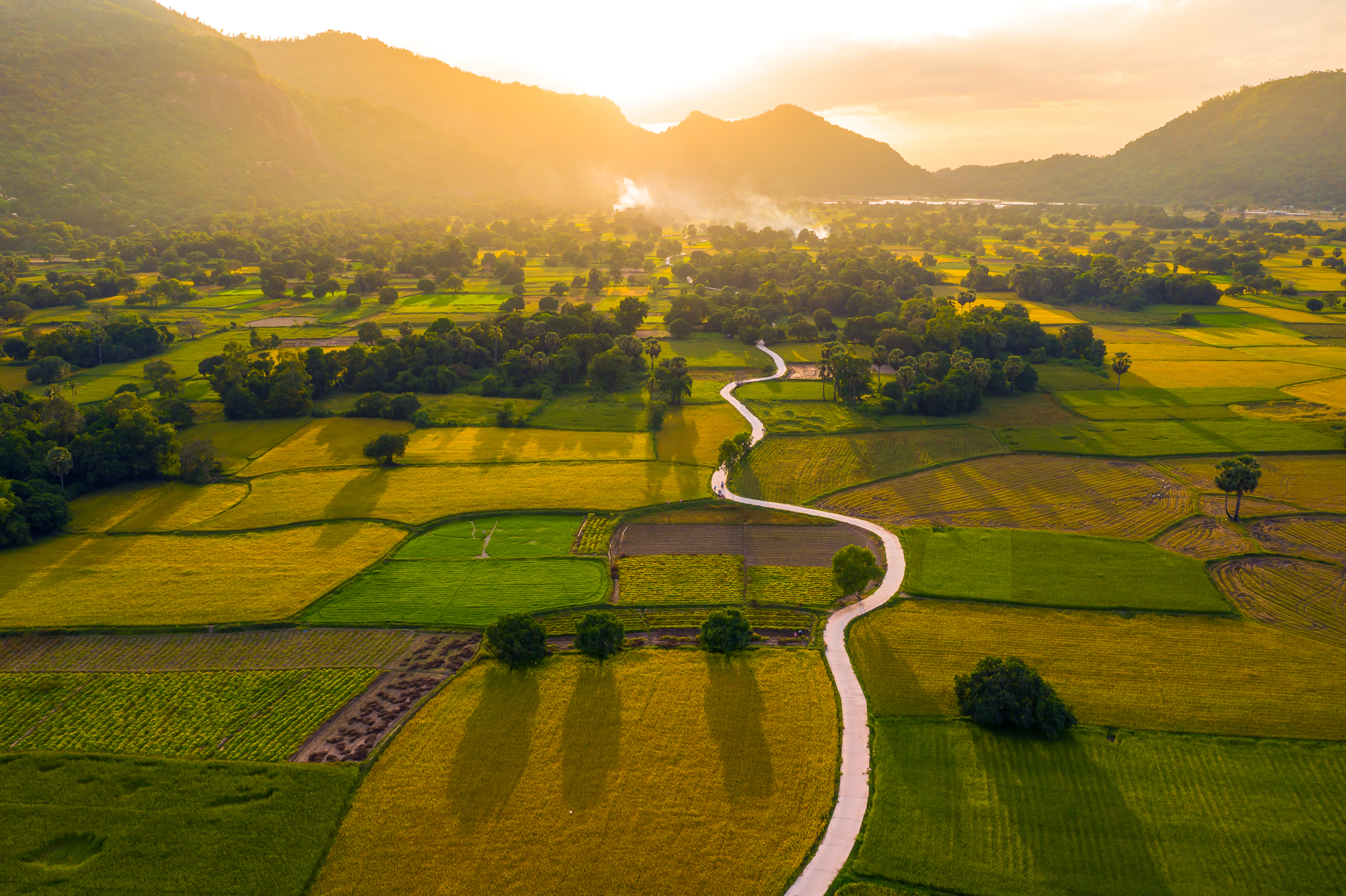 A photo shows Ta Pa paddy rice fields in the Mekong Delta province of An Giang