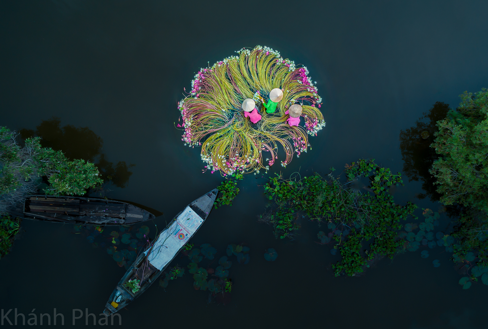 Khanh Phan''s ‘Flower on the water,” a photo capturing people harvesting water lilies in the southern province of Long An, which won the Fun category at the 2018 SkyPixel Aerial Photography & Video Contest and the People category at the 2019 Siena drone photography awards.