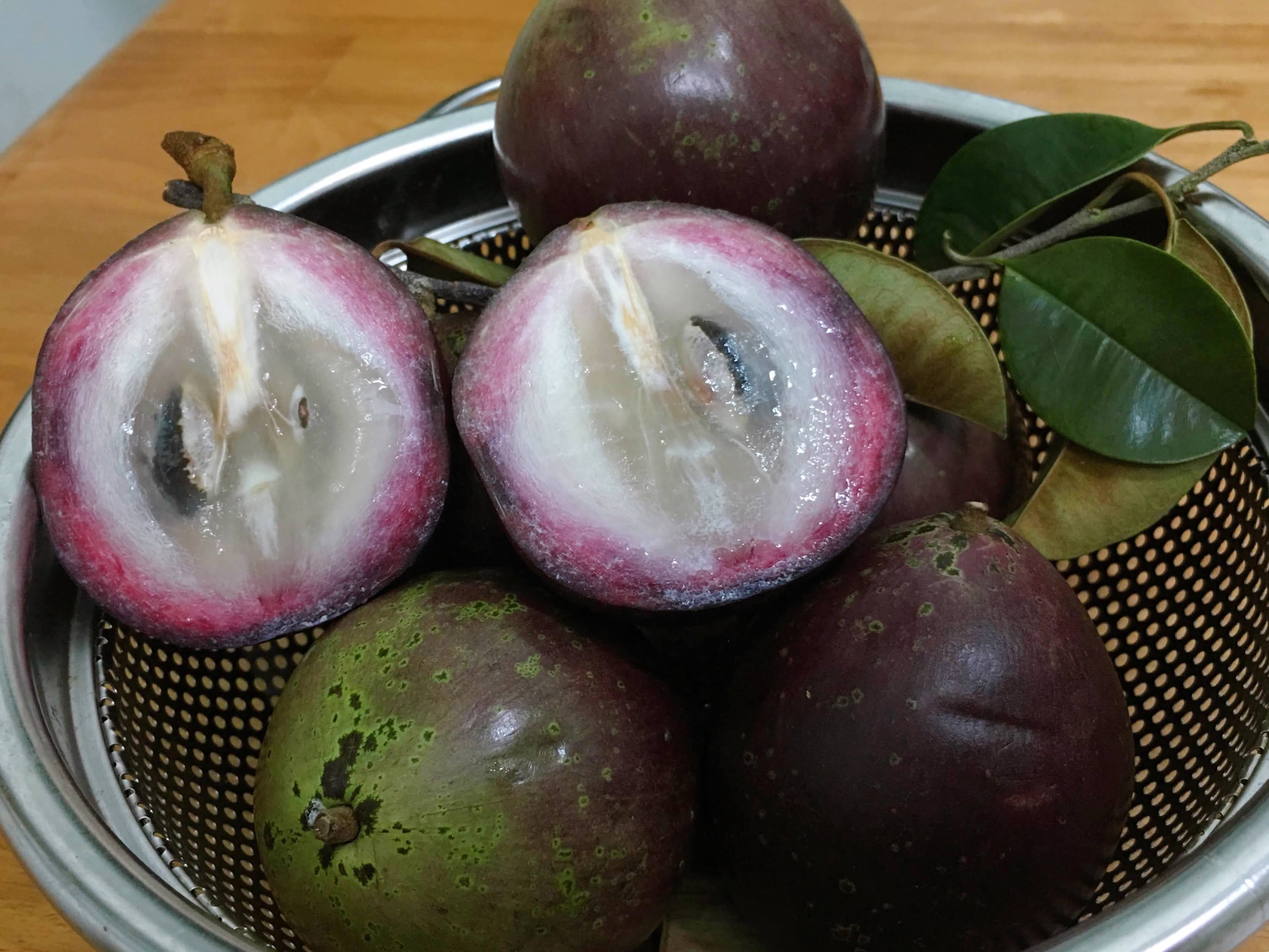 An inside look of star apples, a type of tropical fruits which are grown mostly in Vietnam’s Mekong Delta region. Photo: Dong Nguyen/ Tuoi Tre News