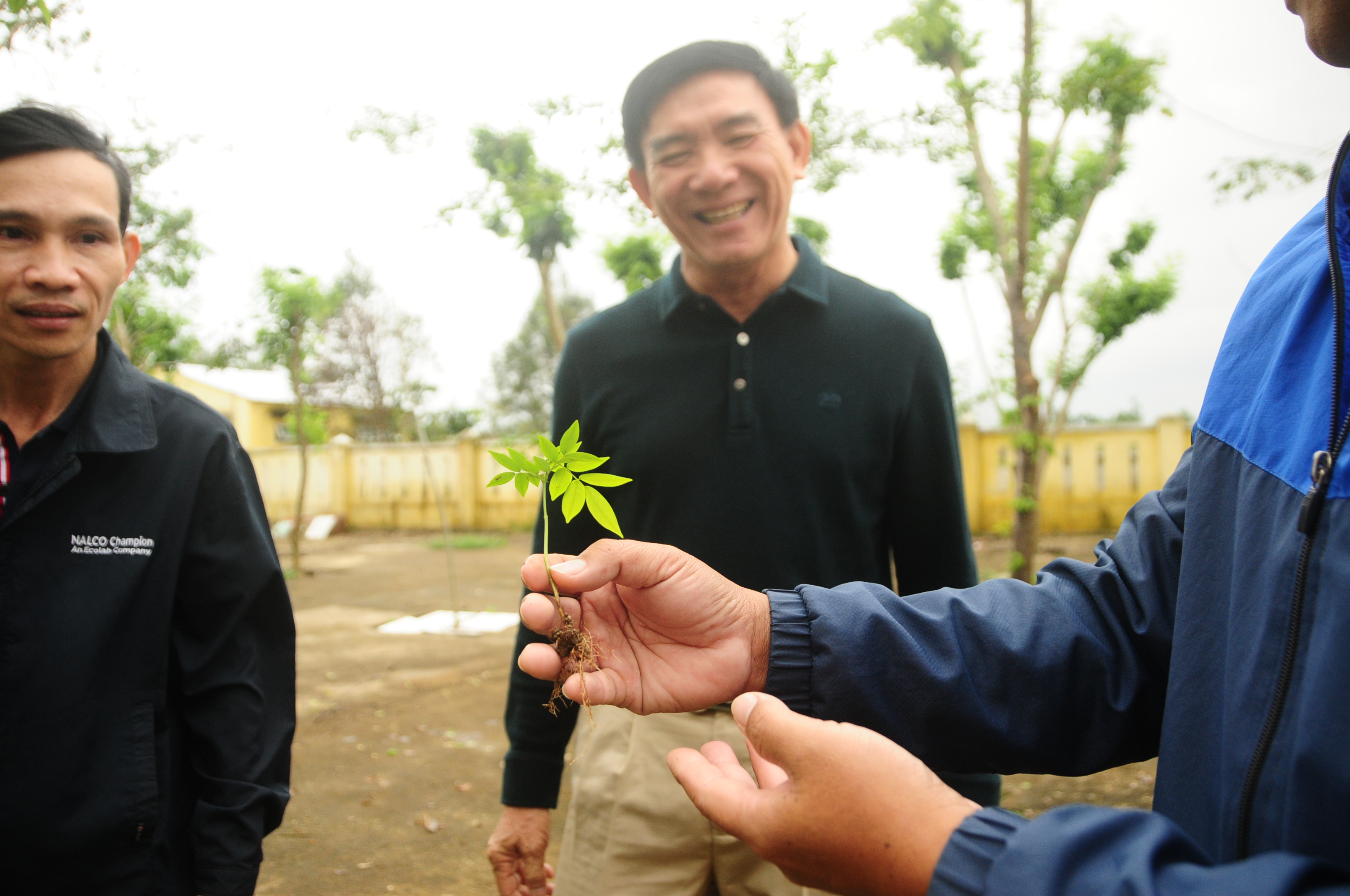 Phan Xuan Anh sits beside a recently planted golden oak. Photo: Thai Ba Dung / Tuoi Tre