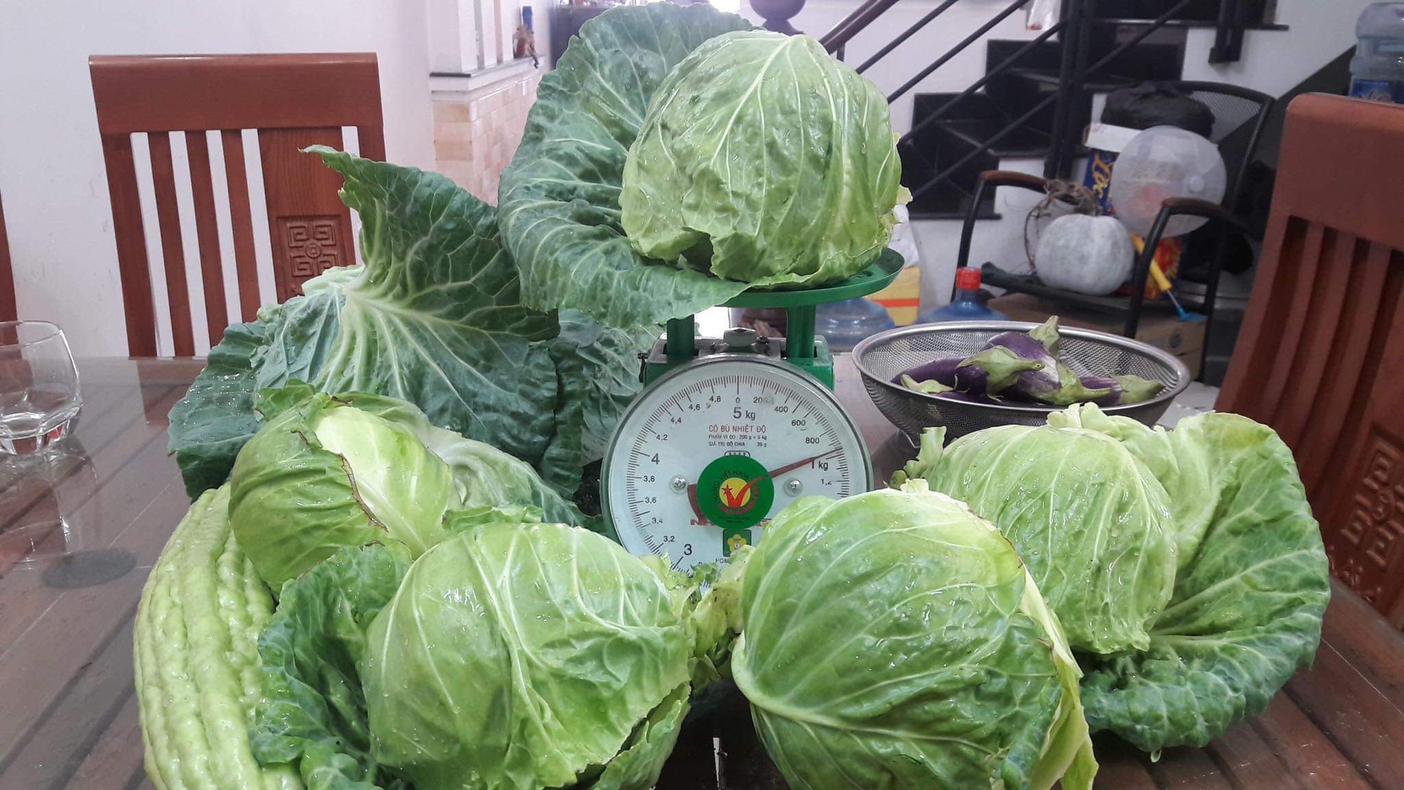 A day’s cabbage harvest from a previous year