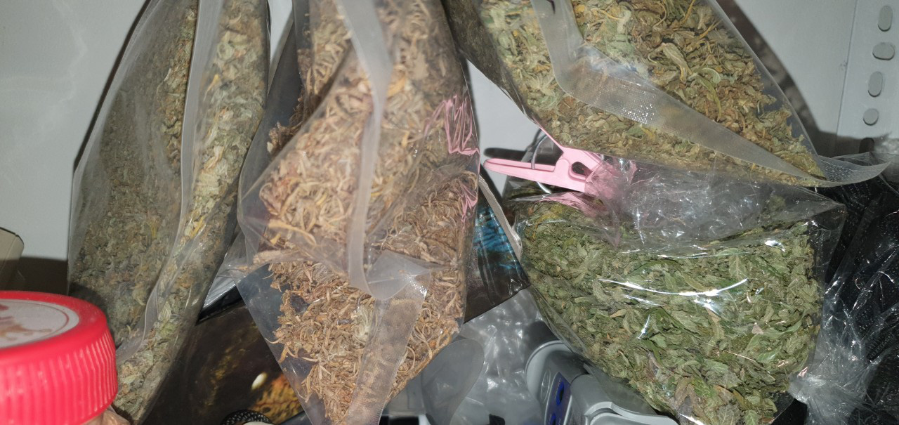 Dried cannabis leaves at a house belonging to Doan Cong Danh in Thu Duc City, Ho Chi Minh City in this supplied photo.