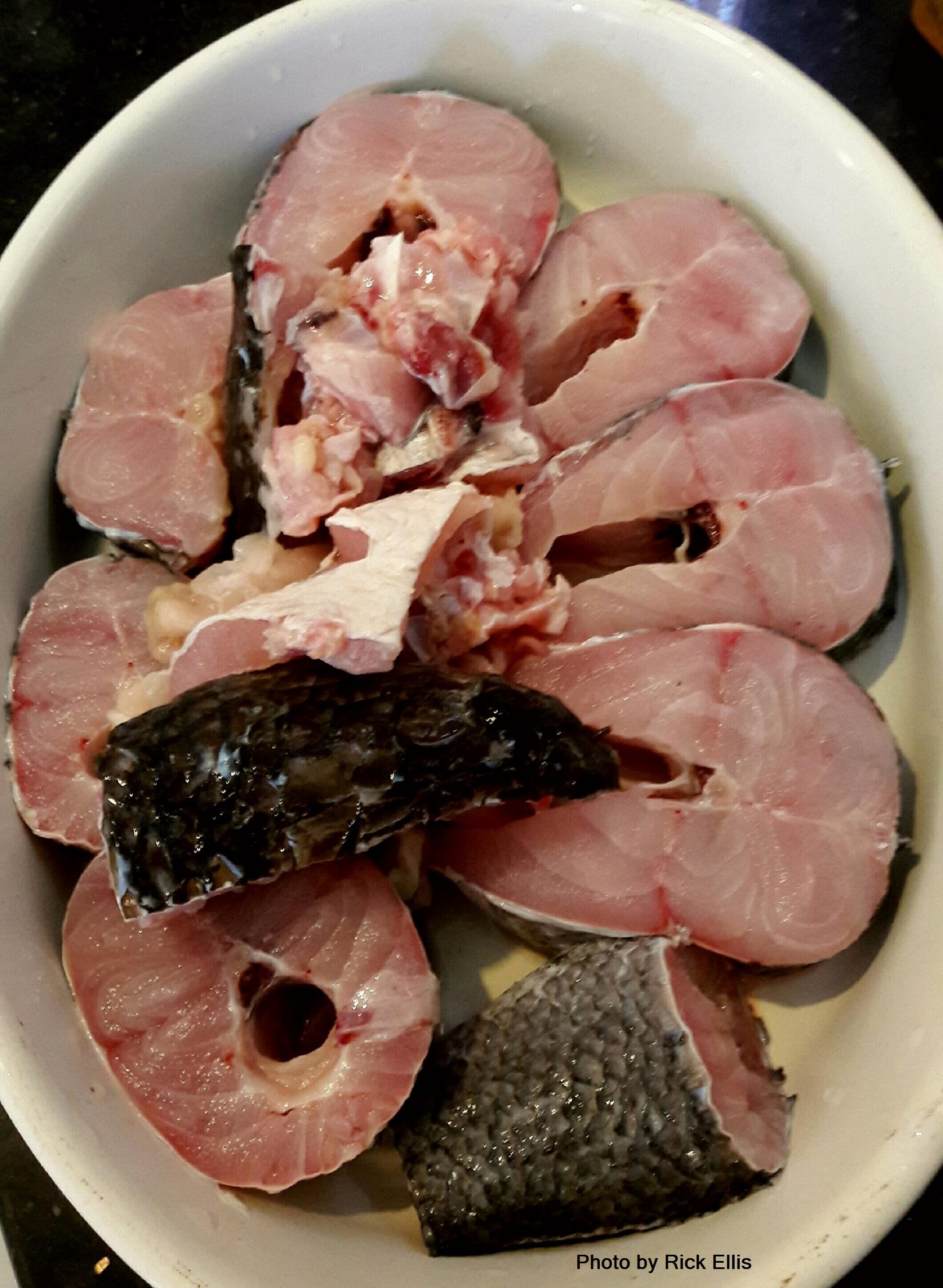 Snakehead (ca loc) fish