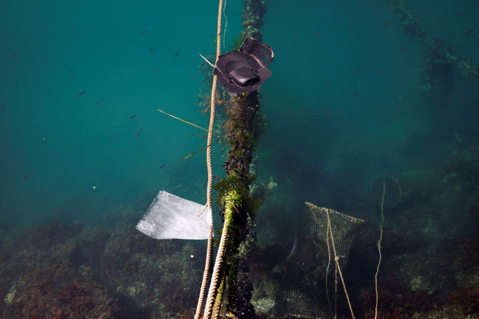 Discarded plastic waste floats in the sea off Geoje, South Korea, March 30, 2021. Photo: Reuters