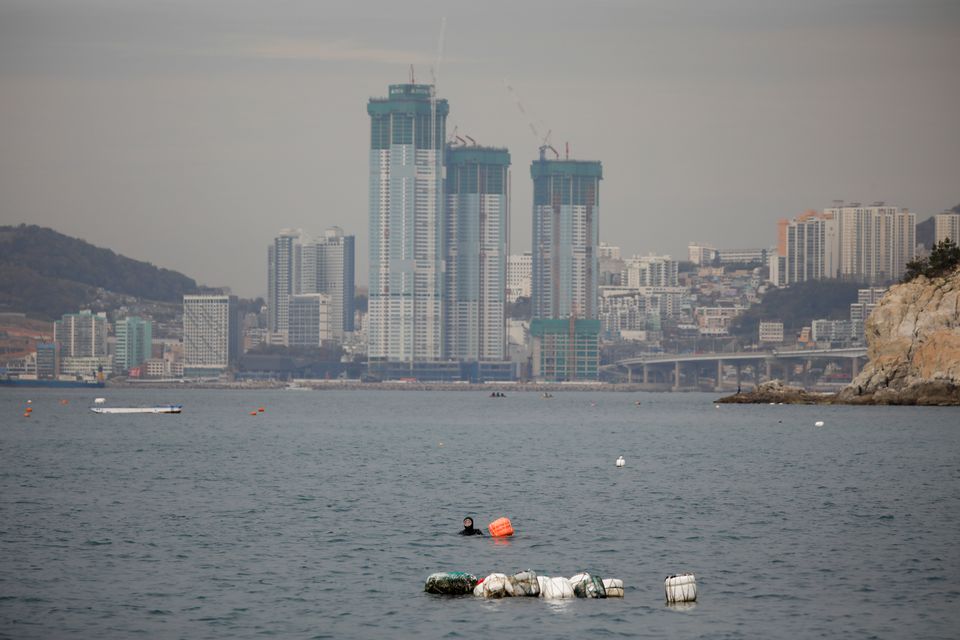 A senior haenyeo, also known as a 'sea woman', comes up for air while diving in the sea off Busan, South Korea, April 6, 2021. Photo: Reuters