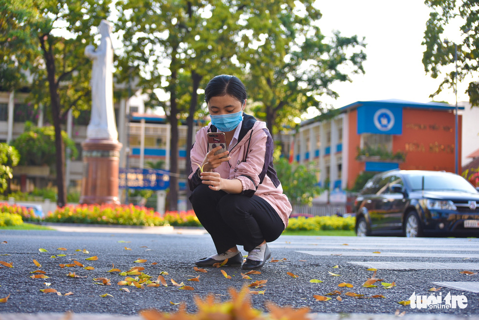 Nguyen Thi Ngoc Tuyen takes a picture of cho nau (Dipterocarpus retusus) seeds near Saigon Central Post Office in District 1. Photo: Ngoc Phuong / Tuoi Tre
