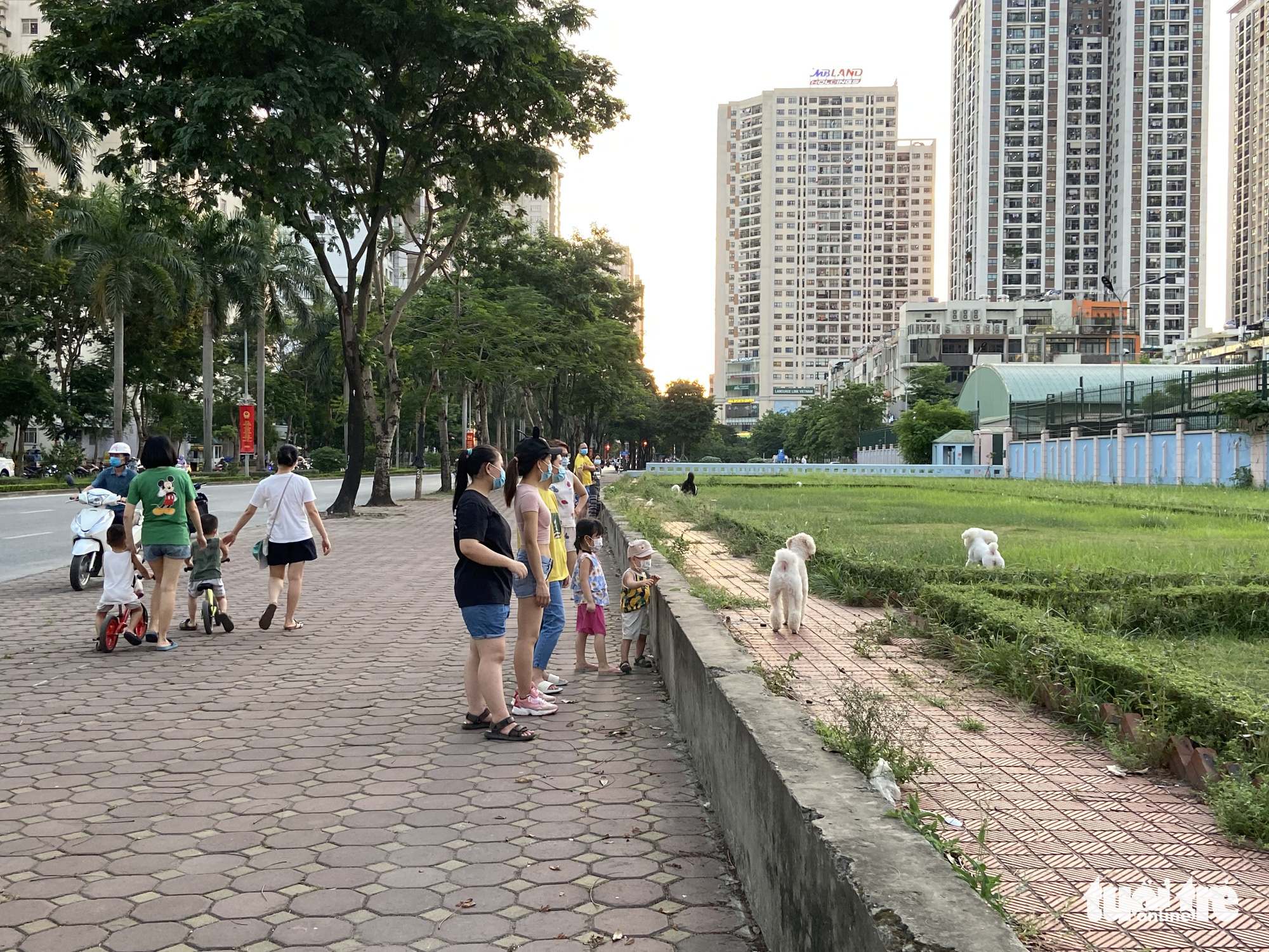 People walk pets on a sidewalk in Nam Tu Liem District, Hanoi, May 30, 2021. Photo: Q.T. / Tuoi Tre