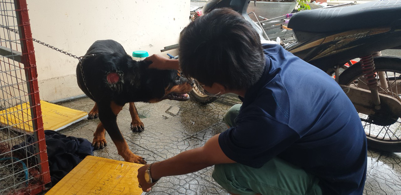 Nguyen Van Hien is pictured with his dog at the police station in An Thoi Ward in Phu Quoc City, Kien Giang Province, Vietnam, June 15, 2021. Photo: Duy Khanh / Tuoi Tre