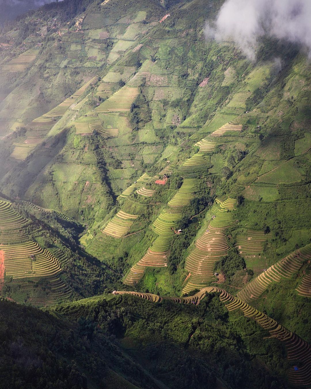 Rice terraces in Mu Cang Chai captured by Indra