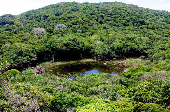 A lake atop a mountain at Nui Chua National Park in Ninh Thuan Province, Vietnam. Photo courtesy of the Nui Chua National Park Management Board.