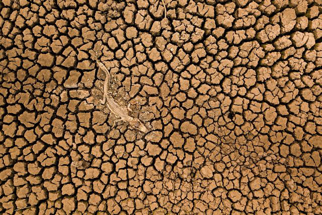 Photo of Daniel De Granville Manço of Brazil takes first place in the 'Landscape' category. Photo: Daniel De Granville Manço