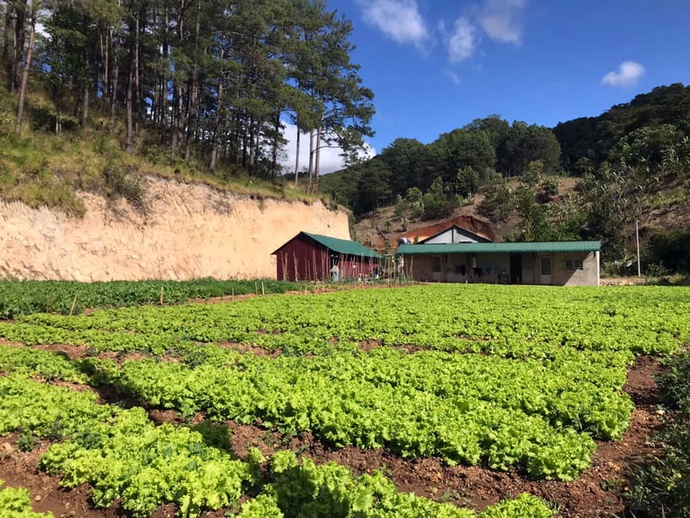 A farm practicing circular methods in Lam Dong Province, Vietnam. Photo supplied.