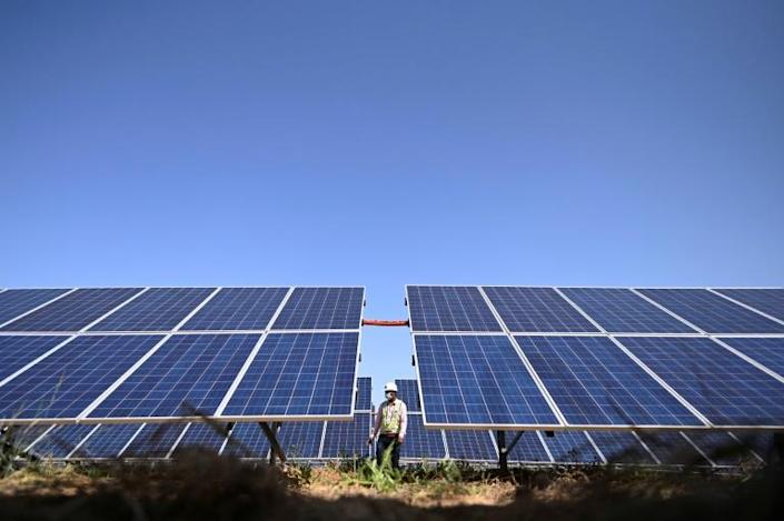 In this photo taken on October 7, 2021, an engineer walks next to solar panels made by Indian manufacturer Vikram Solar at the National Thermal Power Corporation (NTPC) site at Bhadla Solar Park in Bhadla, in the northern Indian state of Rajasthan. Photo: AFP