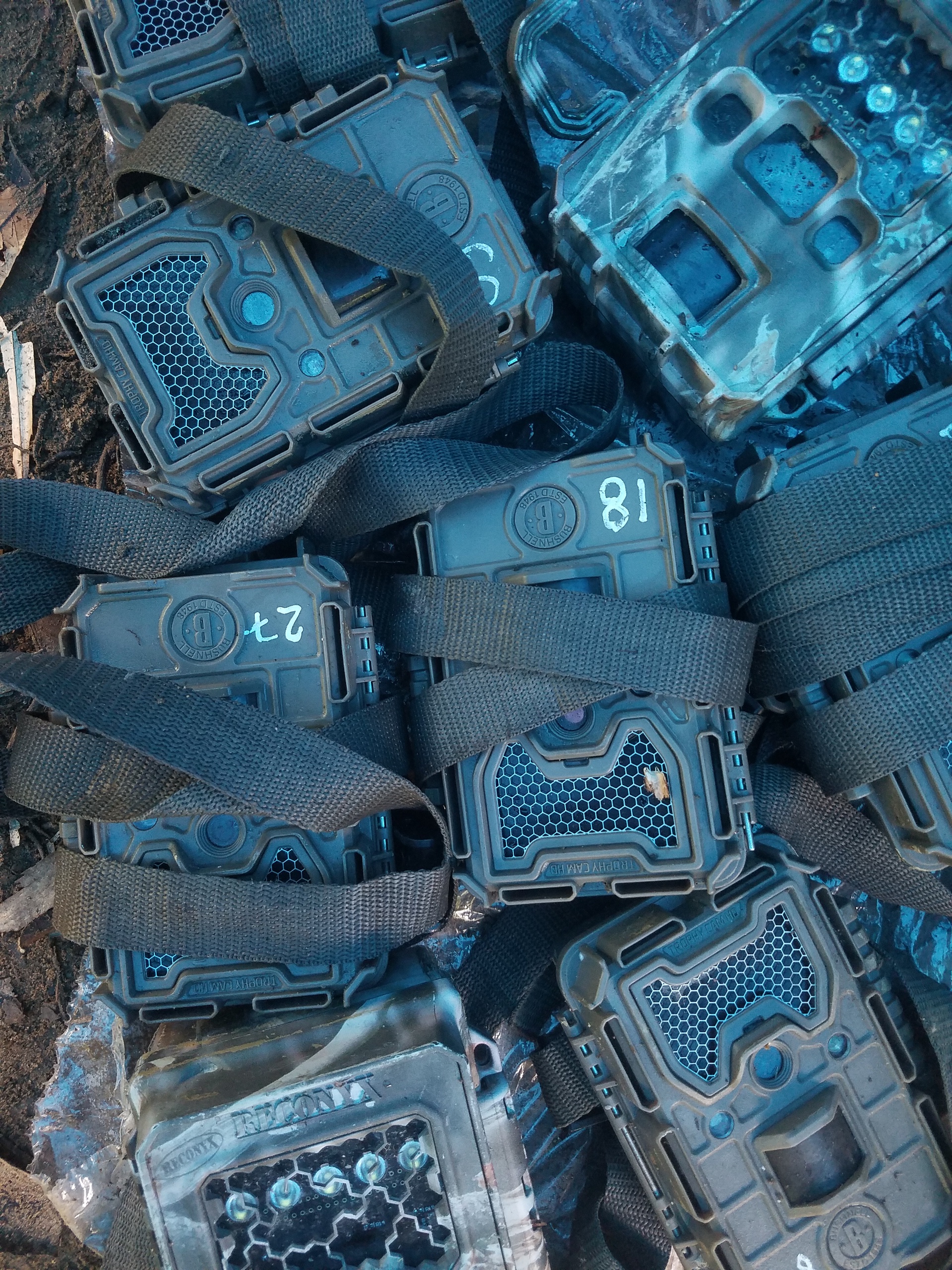 Camera traps at Phong Dien sanctuary.